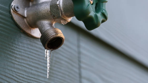 Best Emergency Plumbing Repair  in Waverly, VA